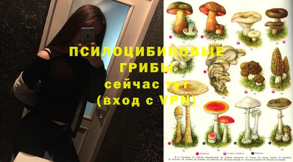 сатива Алзамай