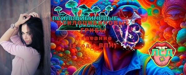 сатива Алзамай
